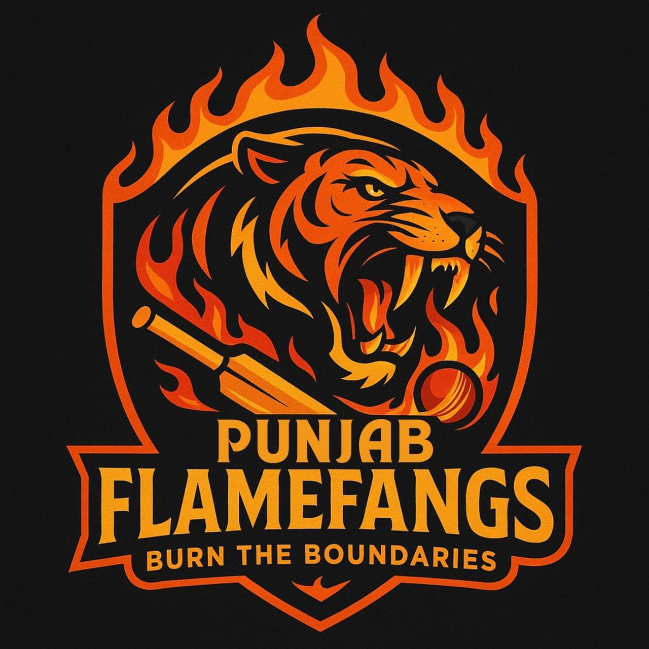 Punjab Flamefangs Team